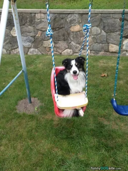 Swing Swing