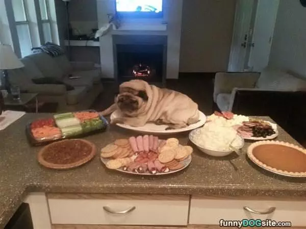 Making Myself A Sandwich