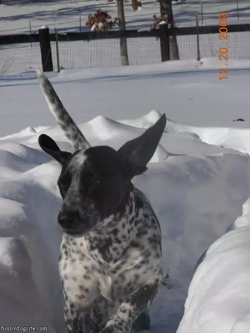 Duane-jack-snow