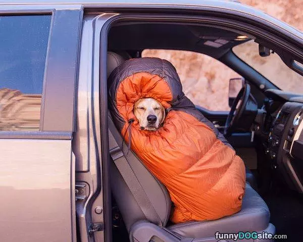 Bundled Up So Warm