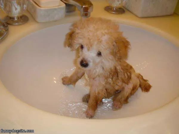 Taking My Bath