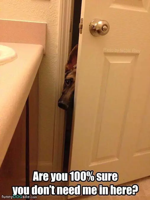 Are You Sure