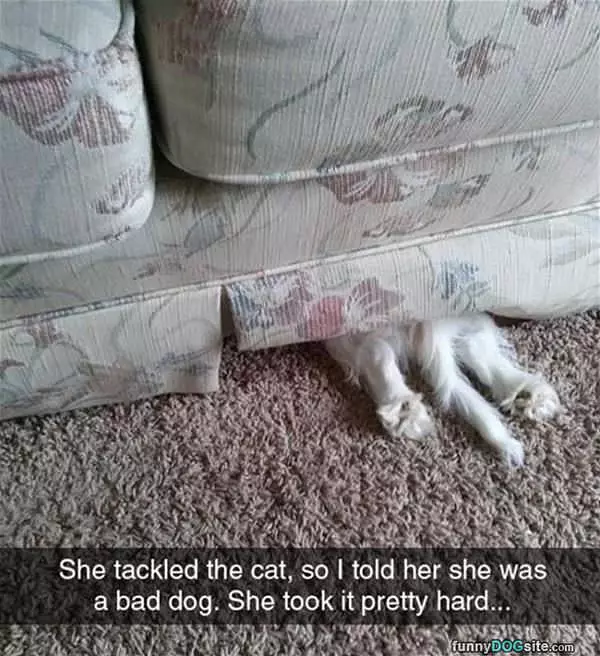 She Took It Pretty Hard
