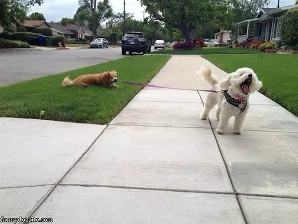 Heyyyy Let Me Go