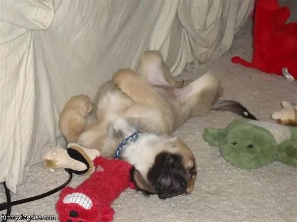 Sleepy