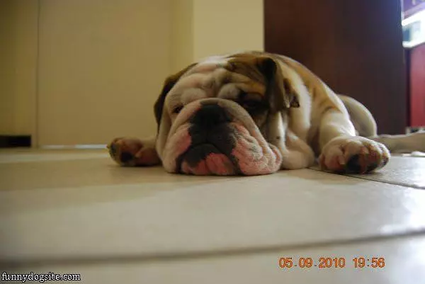 Lazy Morning