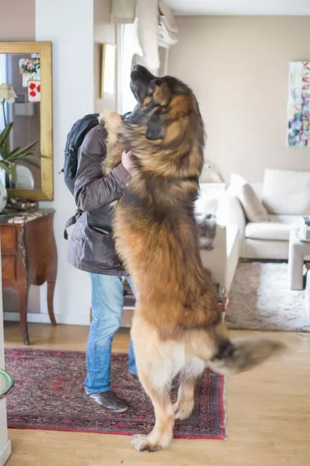 Can I Have A Hug
