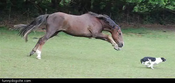 Better Run Faster