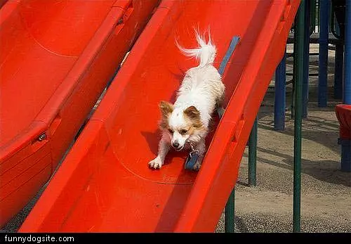 Loves Slides