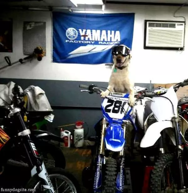 Ready To Race