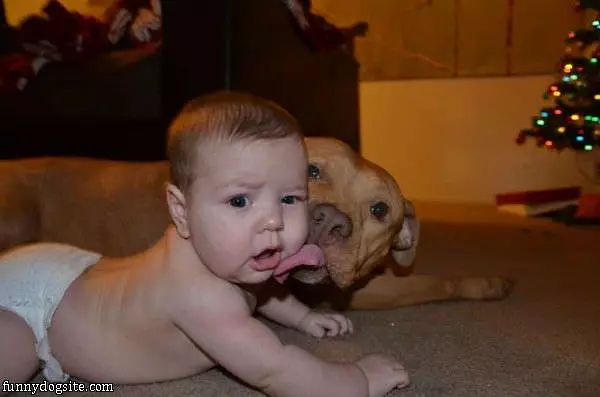 Babys Best Friend