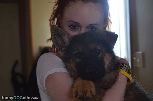 My Fluffy Puppy