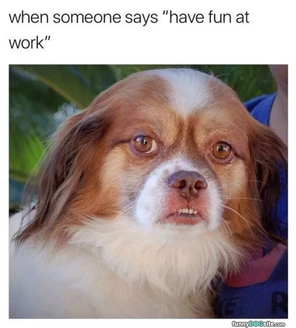 Have Fun At Work