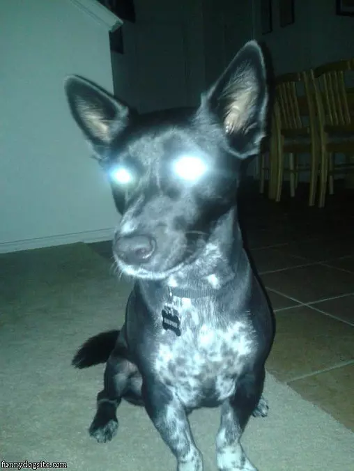 Lasers Fully Charged