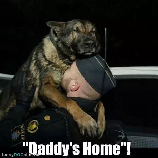 Daddys Home