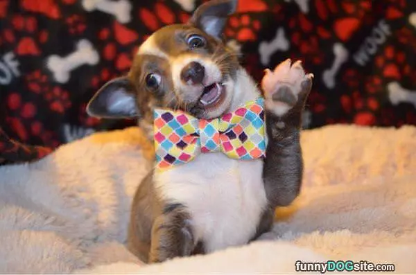High 5