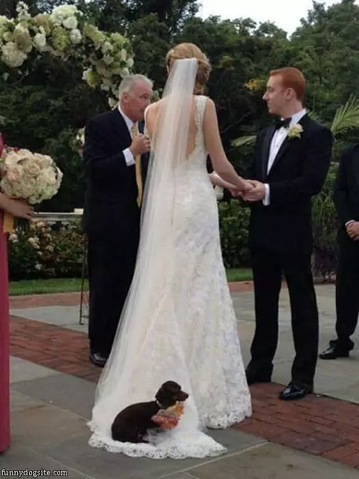 Getting Married