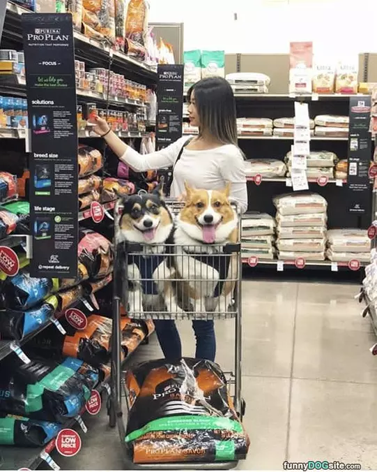 We Love Shopping