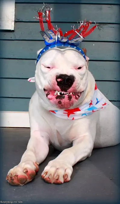 America Makes Me Smile