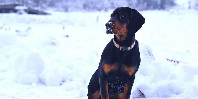 Slovensky Kopov in snow