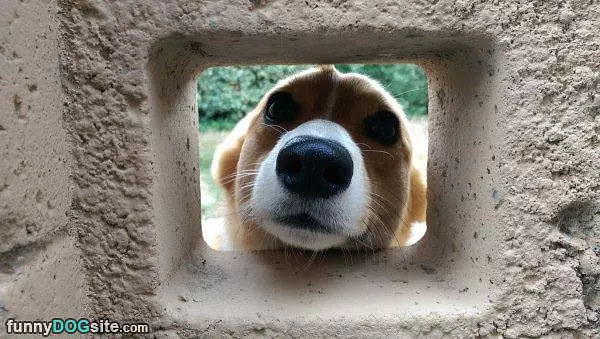 Hey You