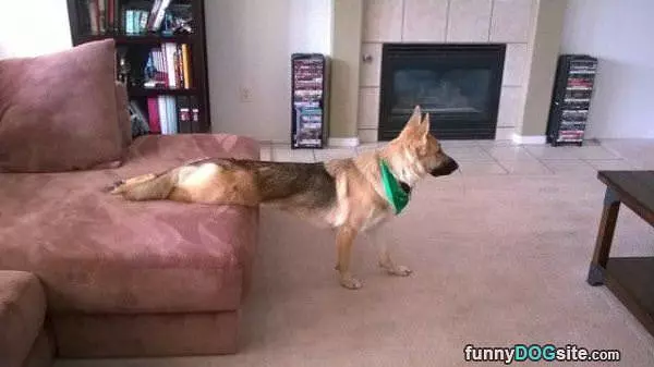 On The Couch