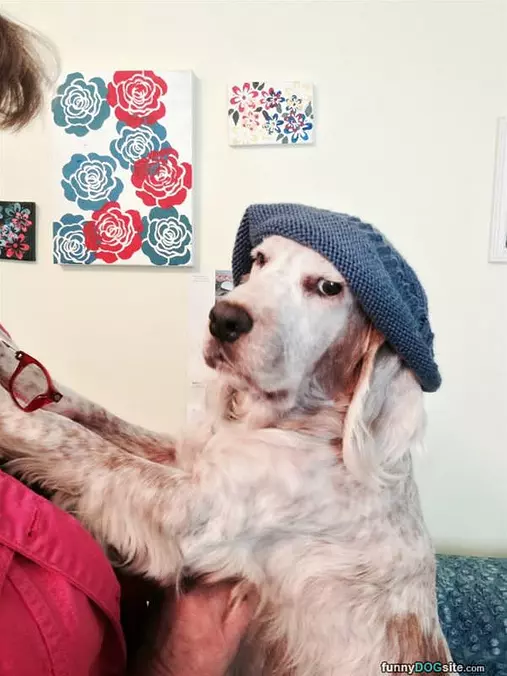 Do You Like My Hat