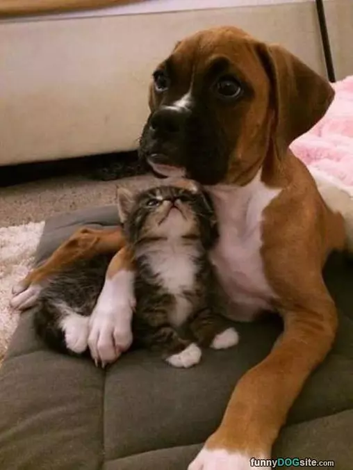 Tell Me Another Story