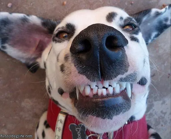 Amazing Smile