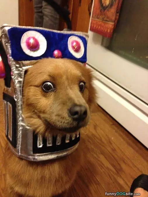 I Am A Robot Rarrr