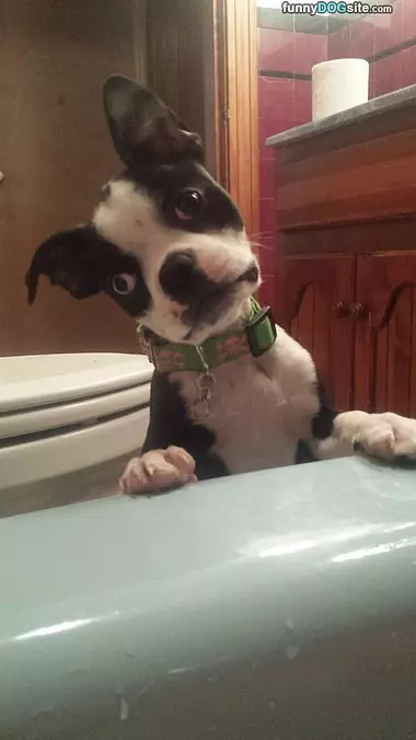 What You Doing