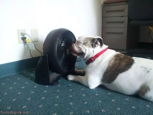 I Want To Cool Off