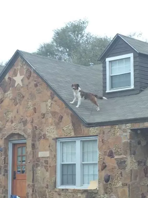 Protecting This House