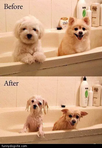 Before And After