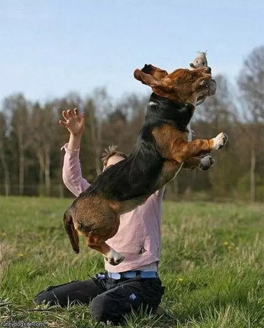 Jumping Fetch
