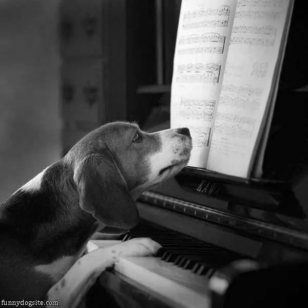 Singing The Notes