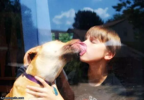 Dog Lick