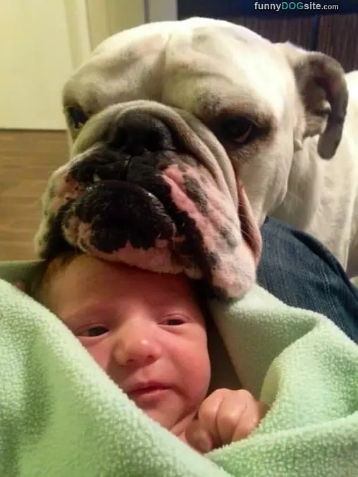I Will Protect You