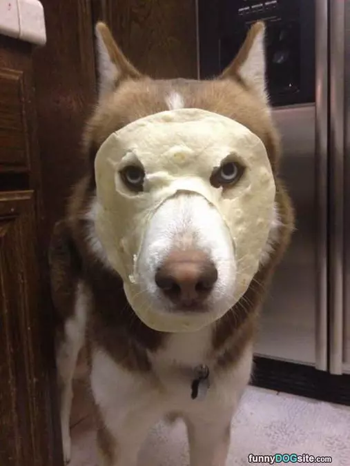Pancake Ninja