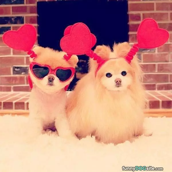 Hearts For Everyone