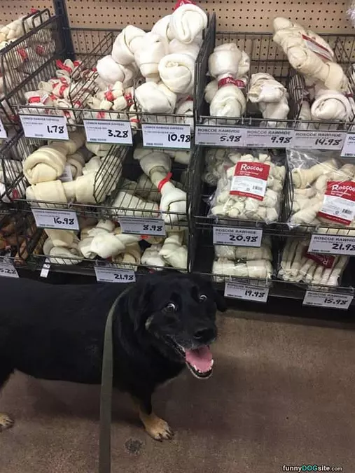 I Like This Section