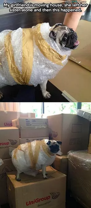 Moving