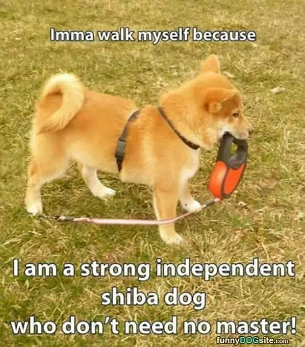Walk Myself