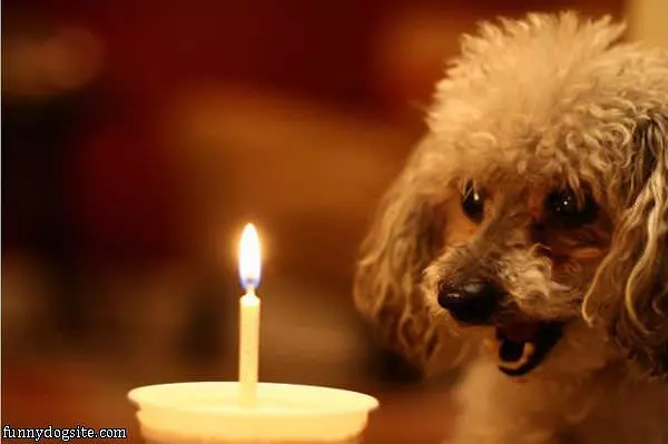 Its Is Mah Birthdays