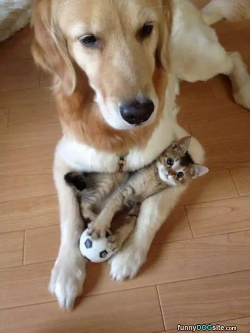 Hanging With My Big Buddy