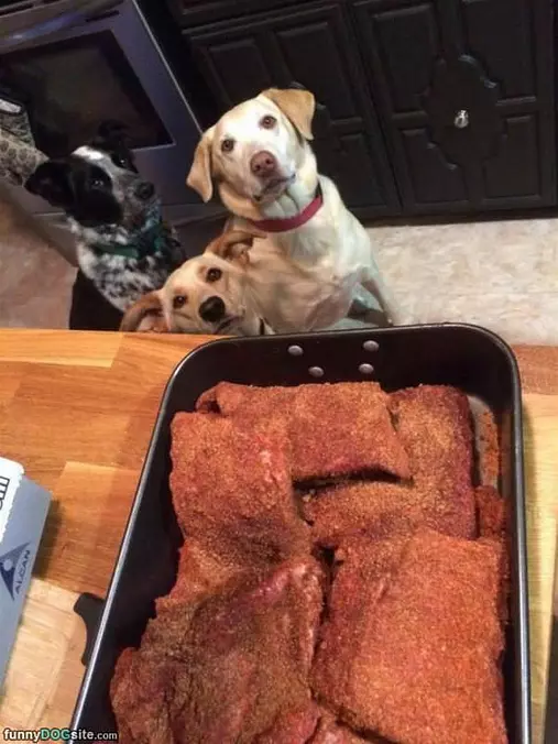 Are You Going To Share