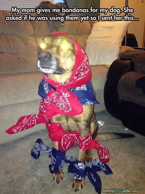 Bandanas