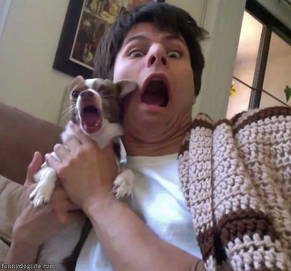 Zomg