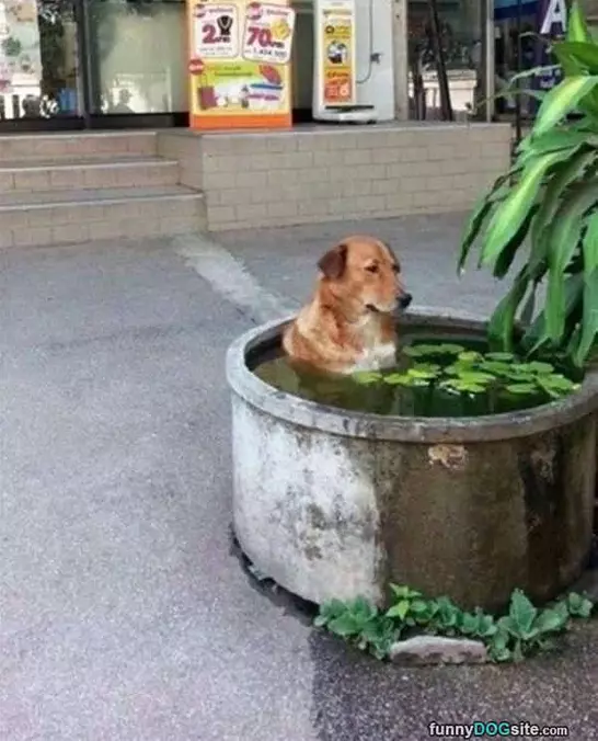 Cooling Off