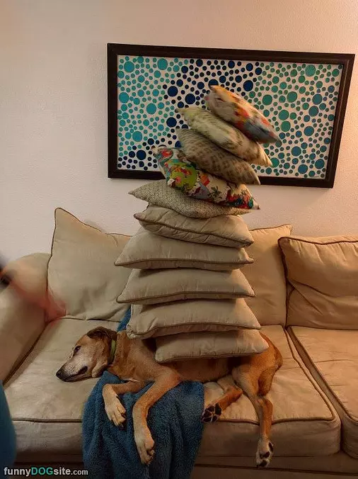 Stacking Some Pillows